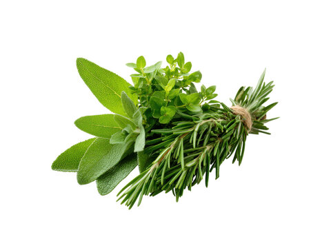 Fresh green herbs tied together with twine on a black background rosemary sage