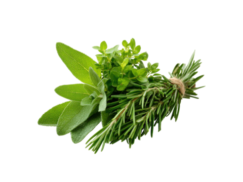 Fresh green herbs tied together with twine on a black background rosemary sage