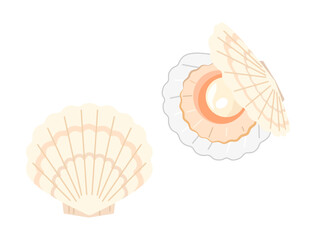 白いホタテ貝のイラストのセット