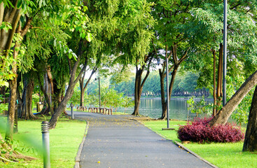Fresh green lawns in the park. Blur nature bokeh green park trees in morning.