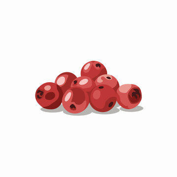 Pink Peppercorns Vector Illustration