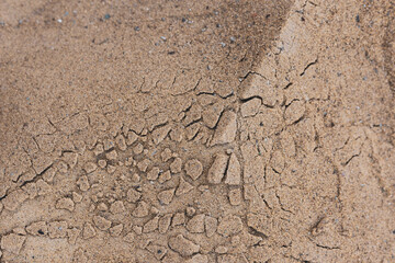 Blihko photo texture cracked sandy loose surface. High quality photo