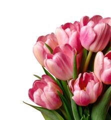 Naklejka premium Spring tulip bouquet in bright light floral arrangement nature isolated on transparent background