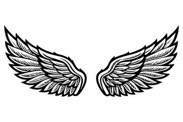 Vector Angel Wings Illustration – Symmetrical Feathered Wing Design for Tattoos and Logos	
