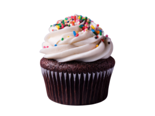 Chocolate cupcake with white frosting and colorful sprinkles image