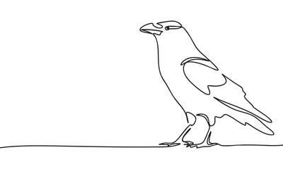 Minimalist Line Art Raven Silhouette