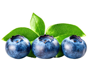 Obraz premium Three ripe blueberries are positioned beside green leaves on transparent background