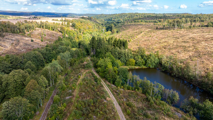 Fototapeta premium Waldsee Ellerteich am Selketalstieg im Harz Harzgerode