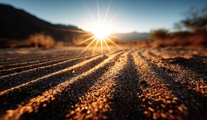 Sunrise on desert sand