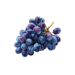 Fototapeta premium Fresh Juicy Bunch of Dark Blue Grapes Isolated on Black Background