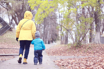 view from the back, a child holding an adult's hand, a walk in the autumn park, a boy with his...
