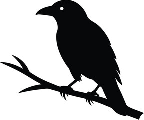 Crow on Branch Black Silhouette Vector. Raven or Crow Silhouette Perched on Tree Branch Vector Illustration