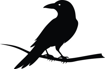 Crow on Branch Black Silhouette Vector. Raven or Crow Silhouette Perched on Tree Branch Vector Illustration