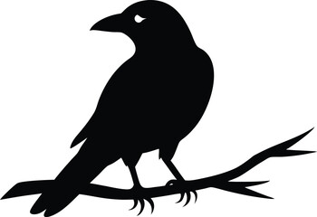 Black Crow Silhouette on Branch Vector Illustration.