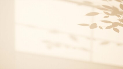 Softly lit room with dappled sunlight and floral shadow patterns