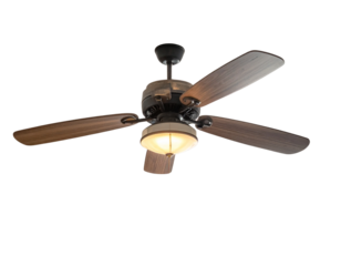 fan isolated on white background