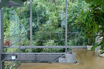 korea cafe interior green tree architecutre gardening