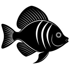 fish vector illustration