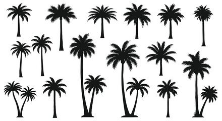 A collection of silhouetted palm trees against a plain white background