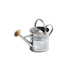 Rustic Galvanized Metal Watering Can for Gardening and Home Decor