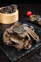 Fresh Yangcheng Lake Hairy Crabs Premium Chinese Seafood Delicacy Closeup on Dark Slate