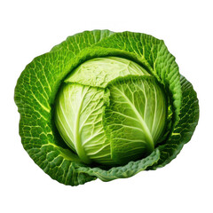 Fototapeta premium head of fresh cabbage isolated on white or transparent.