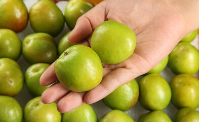 Fresh Green Xinjiang Apricots in Hand - Large Ripe Fruits with Natural Bloom