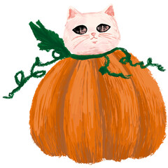halloween, ghost, pumpkin, cute halloween, cute cat, cat, halloween cat, witch, dark, religion, costume, isolated, decoration, scary, october, lantern, holiday, orange, fall, evil, cartoon, spooky, j 