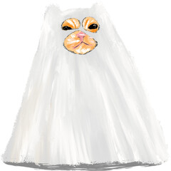 halloween, ghost, pumpkin, cute halloween, cute cat, cat, halloween cat, witch, dark, religion, costume, isolated, decoration, scary, october, lantern, holiday, orange, fall, evil, cartoon, spooky, j 