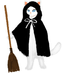 halloween, ghost, pumpkin, cute halloween, cute cat, cat, halloween cat, witch, dark, religion, costume, isolated, decoration, scary, october, lantern, holiday, orange, fall, evil, cartoon, spooky, j 
