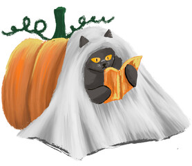 halloween, ghost, pumpkin, cute halloween, cute cat, cat, halloween cat, witch, dark, religion, costume, isolated, decoration, scary, october, lantern, holiday, orange, fall, evil, cartoon, spooky, j 