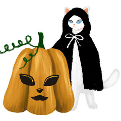 halloween, ghost, pumpkin, cute halloween, cute cat, cat, halloween cat, witch, dark, religion, costume, isolated, decoration, scary, october, lantern, holiday, orange, fall, evil, cartoon, spooky, j 