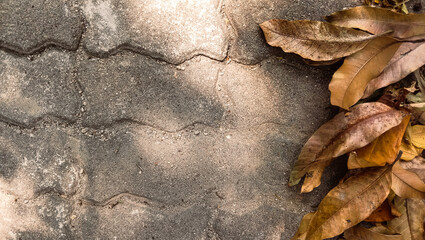 Leaves that fall in autumn with space between the paving blocks.