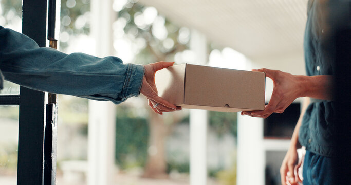 Box, delivery and hands of people in home for direct to door courier service or shipping. Ecommerce, giving or package with customer and postal worker at entrance to apartment to complete order