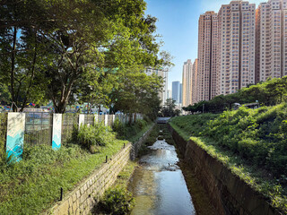 Serene Urban Stream Amid Towering Skyscrapers