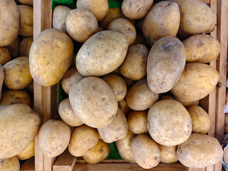Fresh Organic Potatoes in Wooden Crates at Local Market Stall
