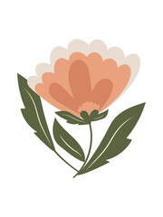 Beautiful pink flower on a stem with leaves isolated on a white background. 