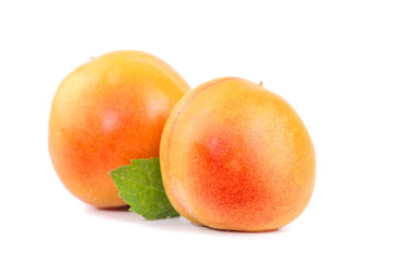 Fresh Xinjiang Apricots with Leaf on White Background - Ripe Orange Stone Fruit