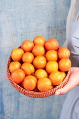 Fresh Apricots in Wicker Basket - Organic Fruit Harvest from Xinjiang China on Rustic Wood Background