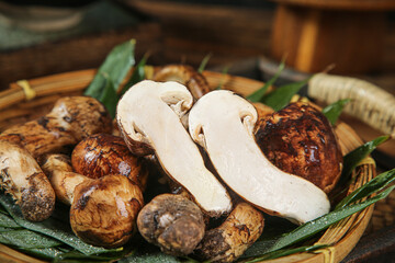 Fresh Wild Matsutake Mushrooms from Yunnan in Traditional Bamboo Basket Display