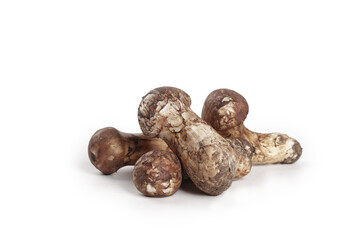 Fresh Matsutake Mushrooms from Yunnan Province on White Background - Premium Edible Fungi