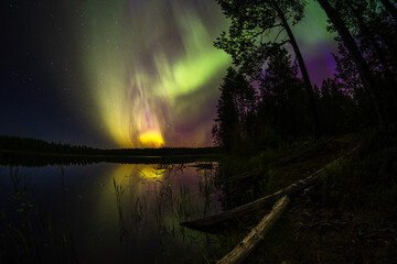 Northern Lights over a forest lake