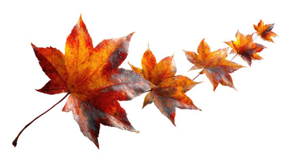 Floating Autumn Leaves