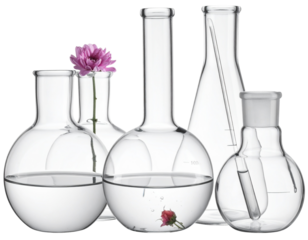 Round Bottom Flask Test Tube with Fluid Set Isolated on Transparent Background PNG