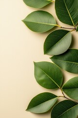 Fresh green leaves on a beige background create a natural minimalistic composition, symbolizing eco-friendly design, organic nature, and botanical inspiration for wellness, spa, and lifestyle concepts
