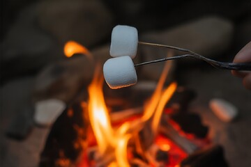 ** Roasting Marshmallows Over a Campfire