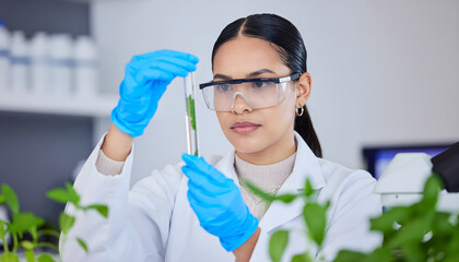 Scientist used biotechnology, ai technology, and dna plant in tube of scientific lab for medical research and Plant