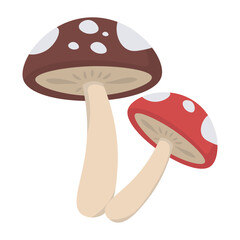 Mushrooms Autumn Element