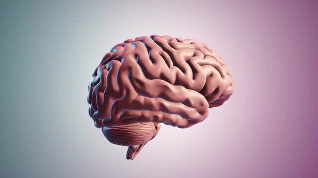 3D animation of a human brain rotating on a minimal pastel background, showing realistic folds and details