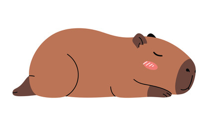 A cute and sleepy capybara animal is resting peacefully on a white background.